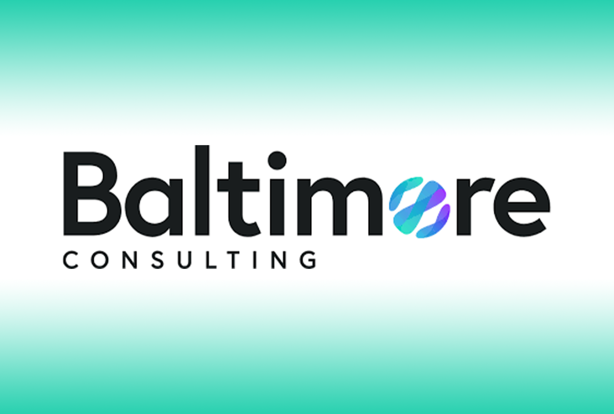 Baltimore Consulting partners